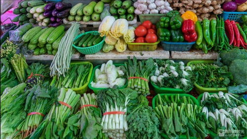 天气热,有3种蔬菜不要买,菜农自己也不愿吃,喜欢吃蔬菜的要留心