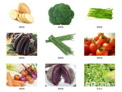 蔬菜水果、肉类调料、粮油副食农副产品一站式配送公司