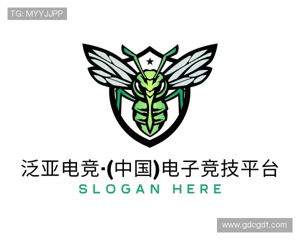 认识泛亚电竞
